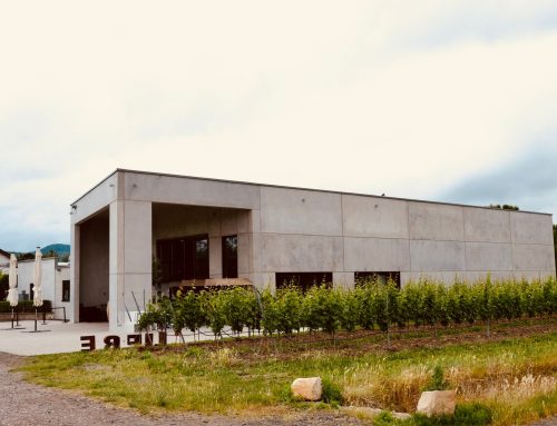 11.-15. März 2026  Das Boulevardtheater Deidesheim zu Besuch im Weingut